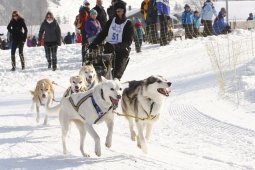 Lenk 2012 SM